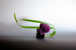 華道家・大谷美香主宰のおしゃれ生け花教室(初心者体験レッスン/草月流資格取得/港区・六本木)